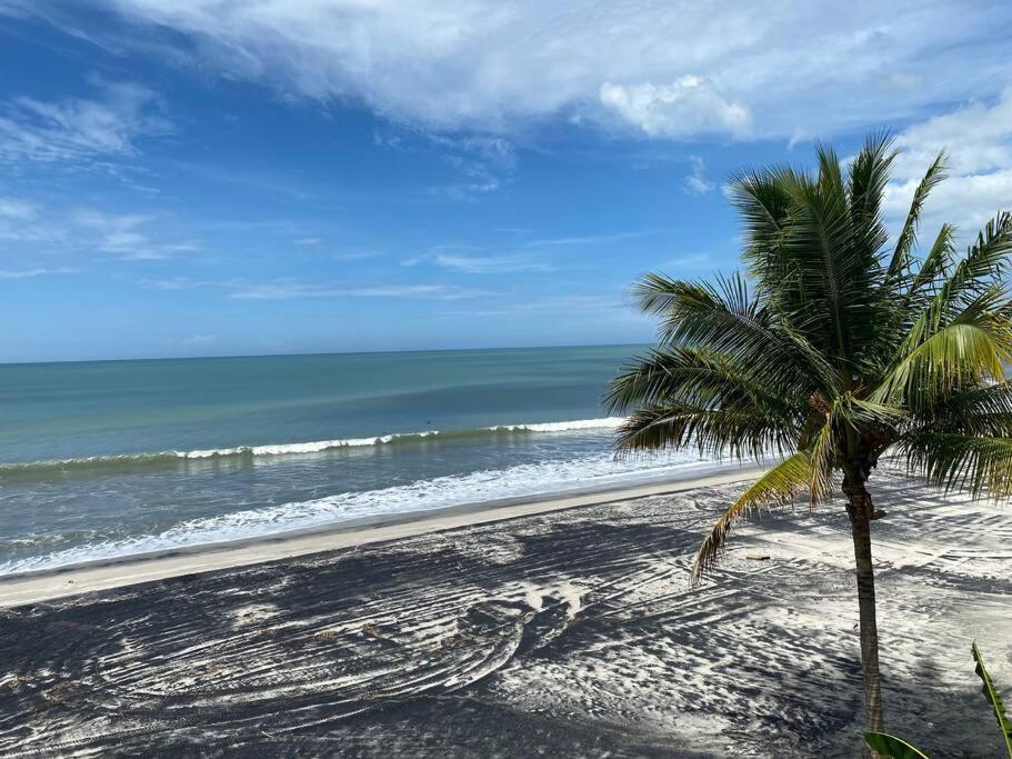 Coronado Beachfront Tropical Home! Playa Coronado Extérieur photo